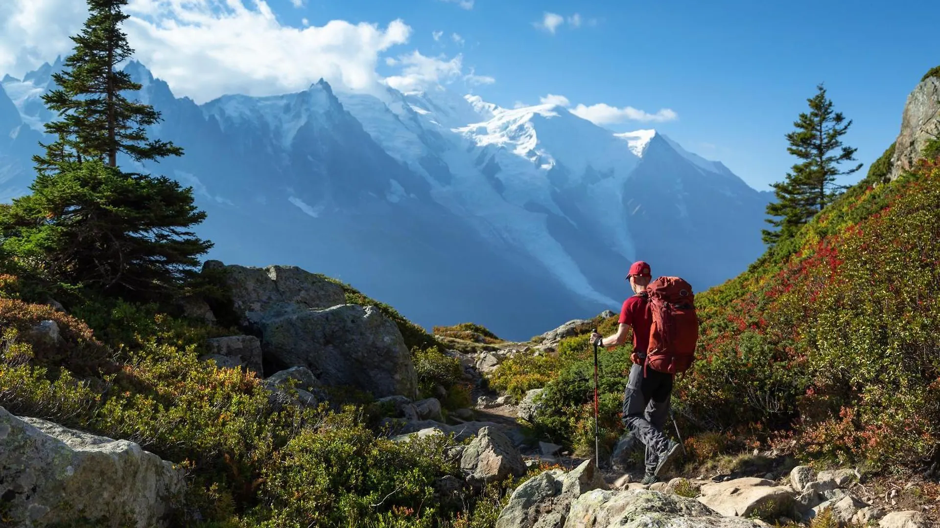 Chamonix Sud Jonquilles 001 - Happy Rentals France