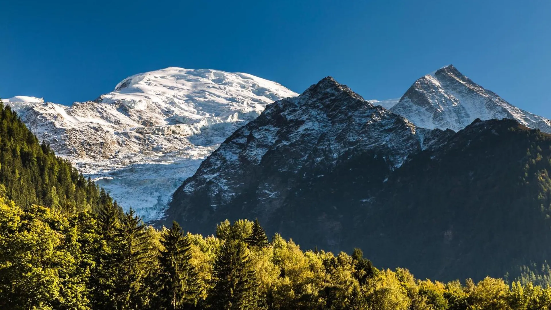 Chamonix Sud Jonquilles 001 - Happy Rentals Apartment